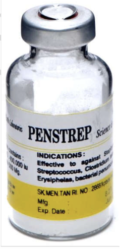 PENSTREP Inj. MEYER Powder